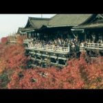 京都一の観光スポット 世界遺産 清水寺の紅葉
