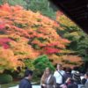 (autumn foliage)京都の紅葉スポット-南禅寺 Nanzen-ji temple.