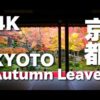 ［４K］KYOTO JAPAN 京都の紅葉の名所（東山） Autumn Leaves in Kyoto Higashiyama Area 京都観光　清水寺、東福寺、永観堂、高台寺、圓光寺 日本の絶景
