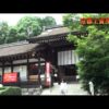 京都のパワースポット　上賀茂神社 kyoto kKamigamo-shrine