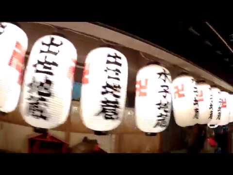 Osaka & Kyoto Travel Video