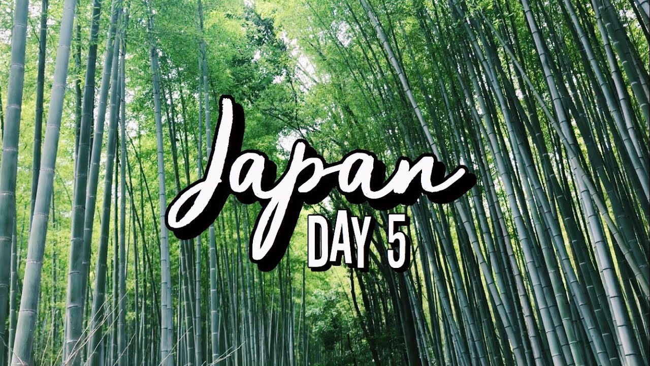 Japan Travel Vlog – Day 5/Kyoto/Arashiyama/Kinkaku-ji/Nara/Kobe Harborland