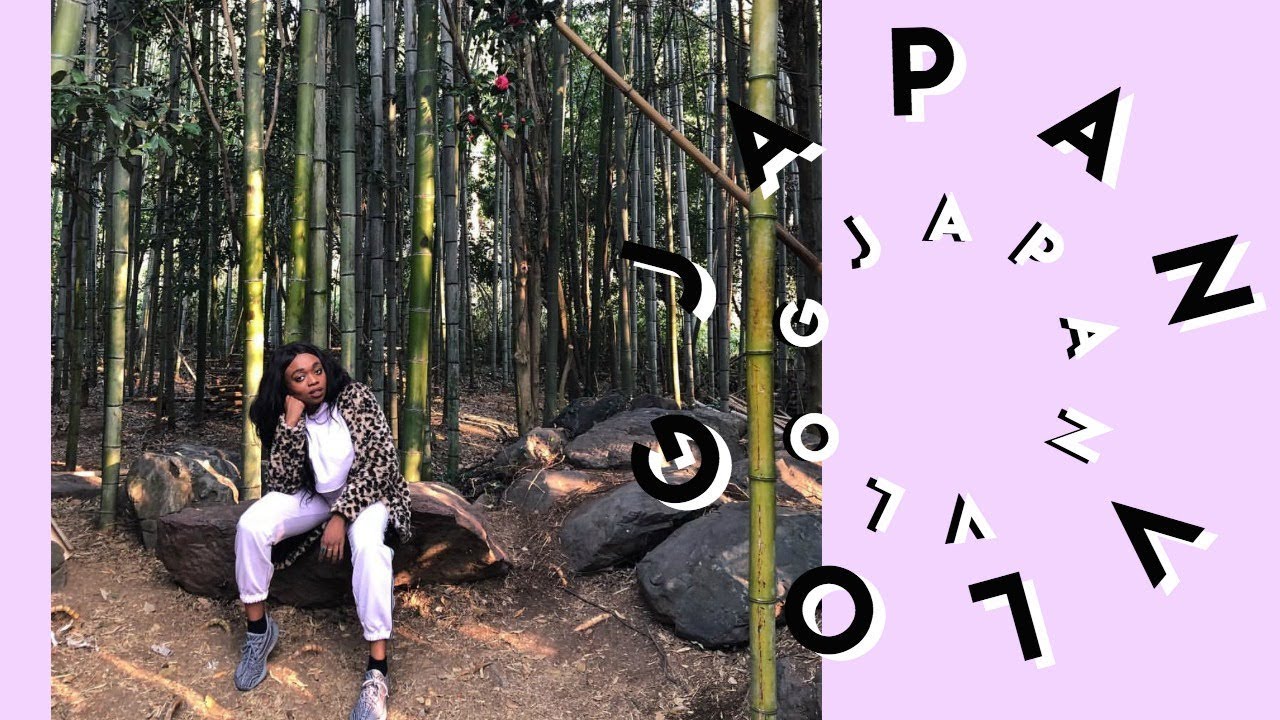 Japan Vlog 2018 Part 2: Kyoto, THEY SCAMMED US?!, Bamboo Forest, Kimonos