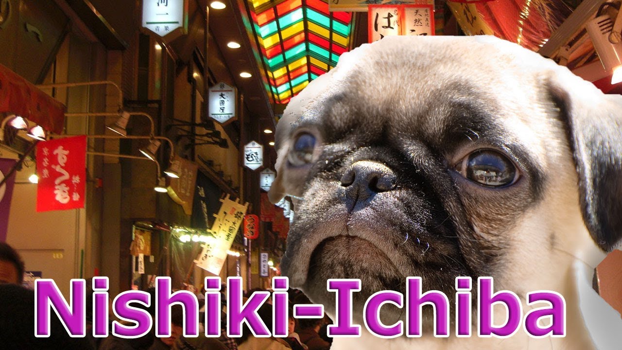 [Japan]walk and eat in Kyoto,Nishiki-Ichiba Market!with Pug dog