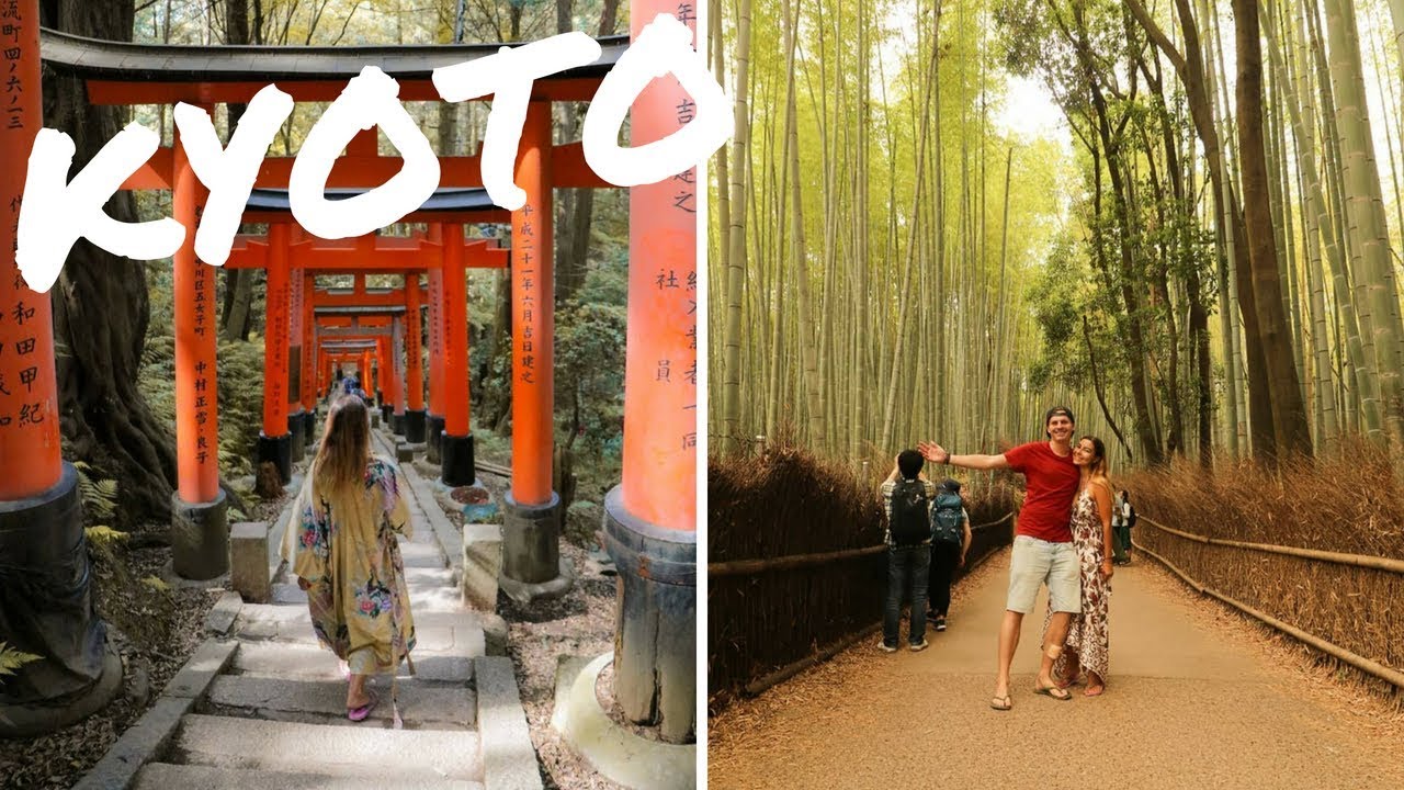 KYOTO IN ONE DAY – Fushimi Inari, Bamboo Forest & Snow Monkeys!