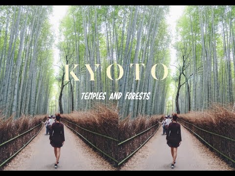 TRAVEL VLOG • Kyoto Day 1 | Golden Temple and Arashiyama 🎋Grove | wendy in the wild
