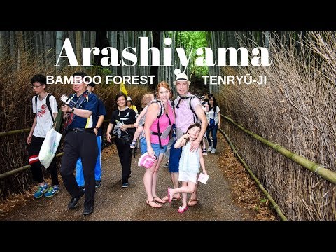 Arashiyama Bamboo Grove tour in Kyoto, Japan + AMAZING Sushi