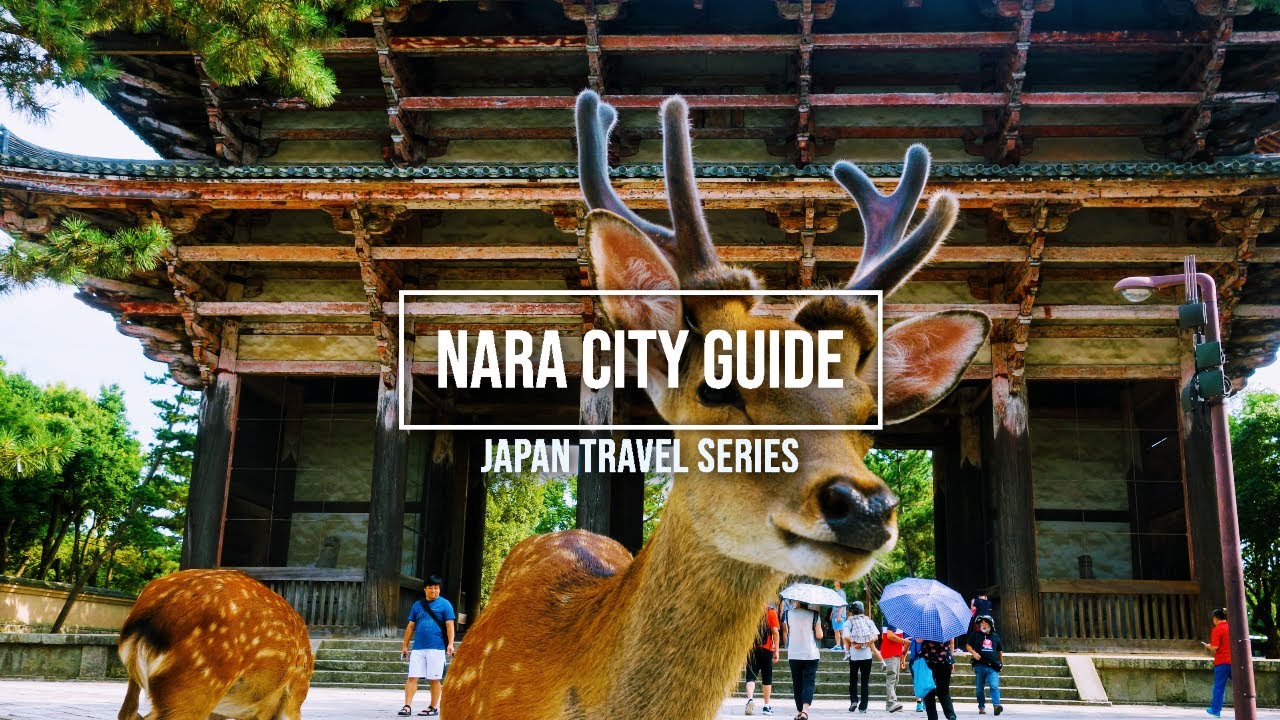 Nara City Guide