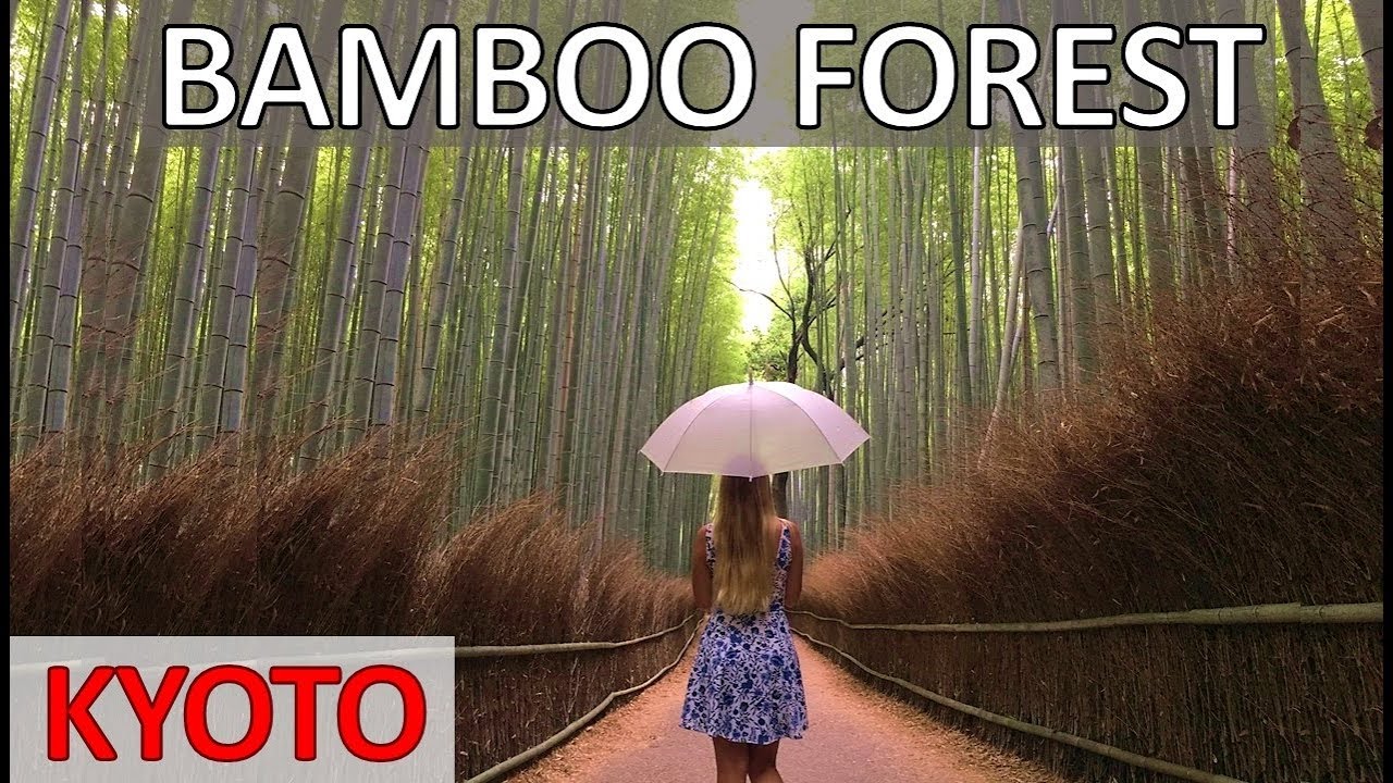 ARASHIYAMA BAMBOO FOREST in Kyoto – Most Beautiful Place in Japan 嵐山竹の森