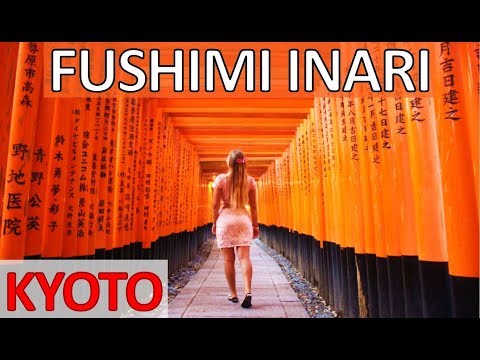 FUSHIMI INARI SHRINE IN KYOTO JAPAN trip – 10,000 Gates & Mystical Kyoto Night 伏見稲荷大社