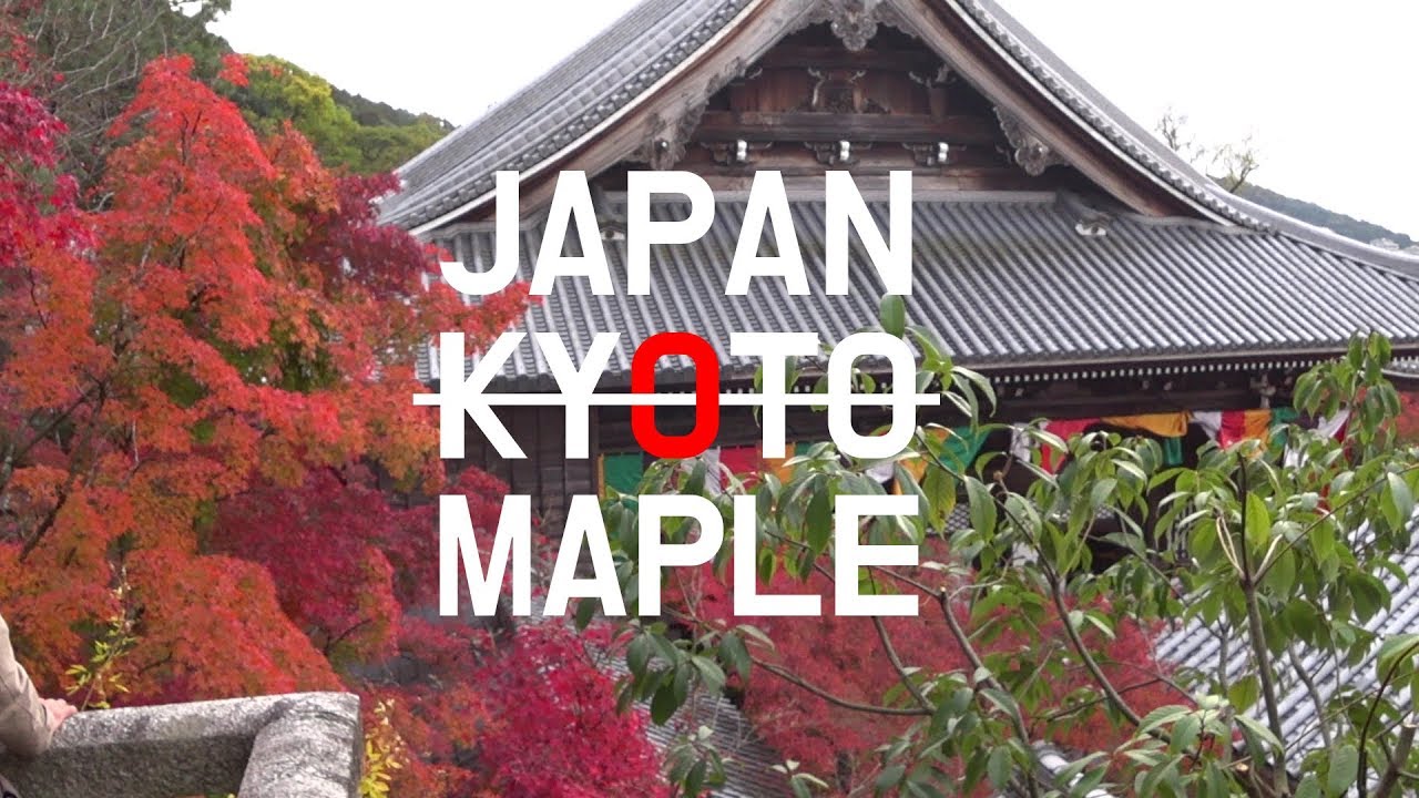 일본.교토.단풍 │Japan.Kyoto.Maple│日本.京都.紅葉│Travel film #01