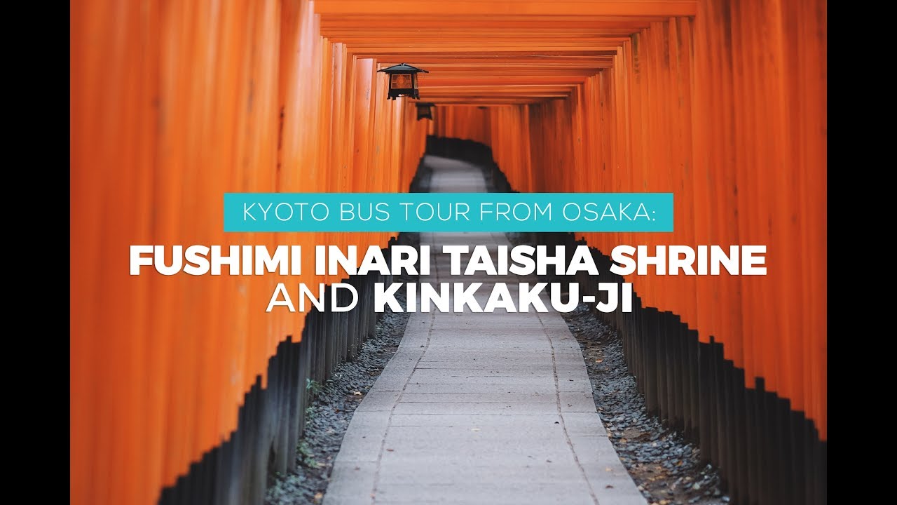 Kyoto Tour: Fushimi Inari Taisha Shrine & Kinkaku-ji