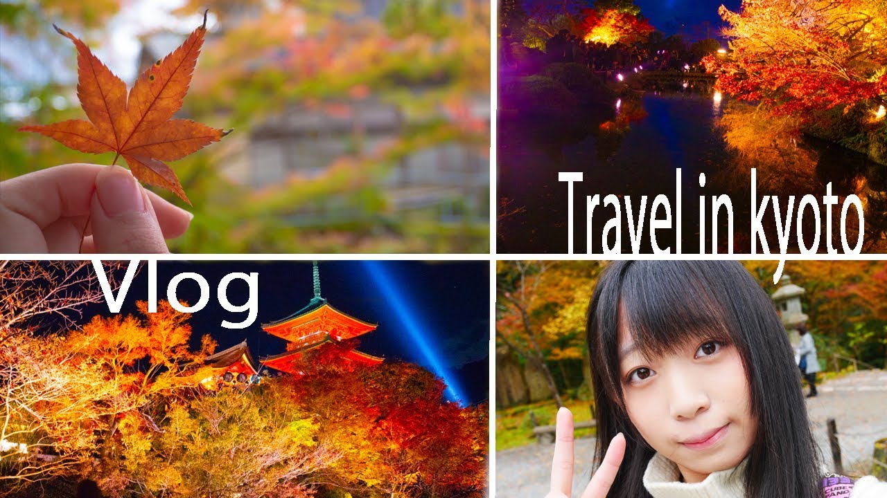 【Vlog】-Travel in kyoto-ジンバルが欲しくなる京都旅行【Part1】