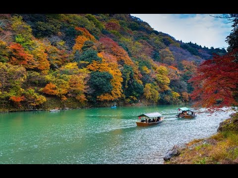 Best Forest In Arashiyama, Kyoto – Japan