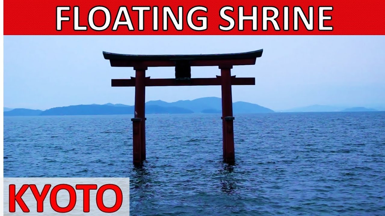DAY TRIP FROM KYOTO TO THE FLOATING SHRINE – Kyoto Travel Guide Japan vlog 白鬚神社