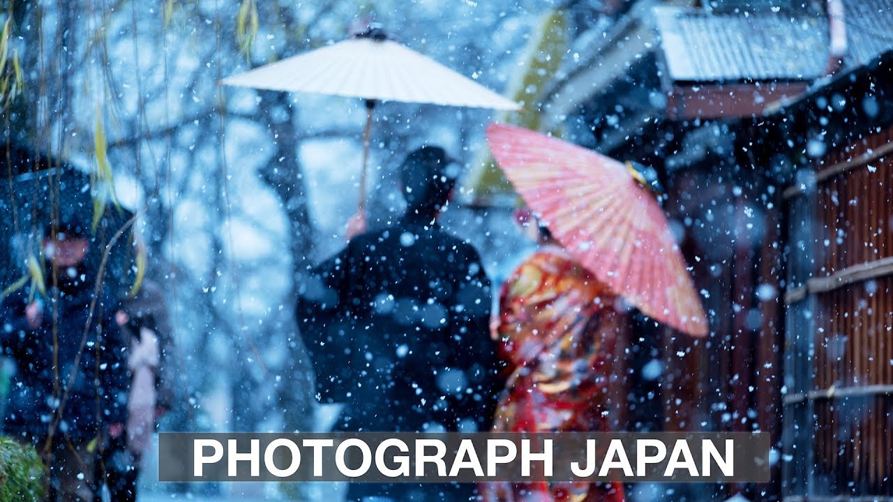 PHOTOGRAPH JAPAN! Tokyo, Kyoto, Nagano Japanese Snow Monkeys and more