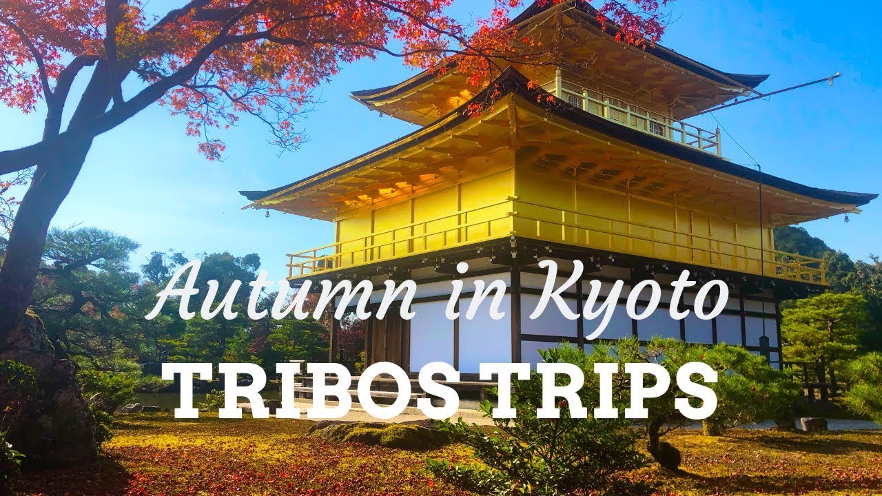 TOUR POR KYOTO NO OUTONO | KYOTO AUTUMN