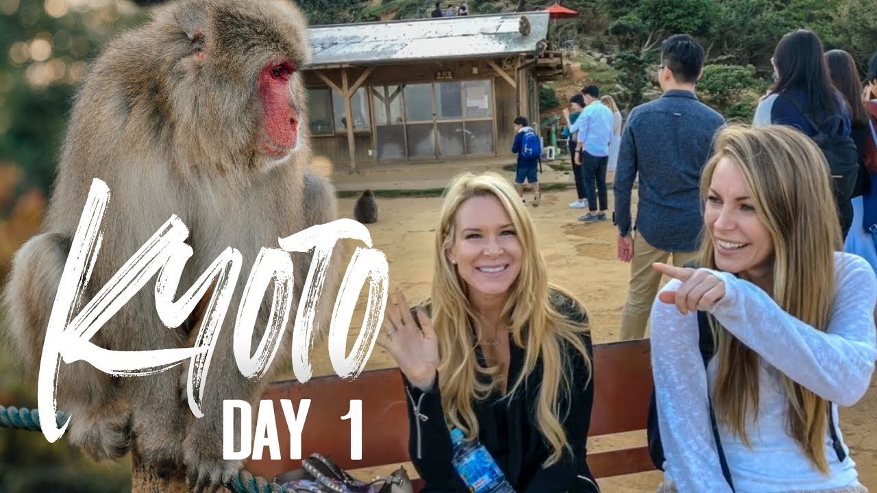 Day One Exploring Kyoto! Arashiyama | Monkey Park | Fushimi Inari-taisha | Sanjūsangen-dō
