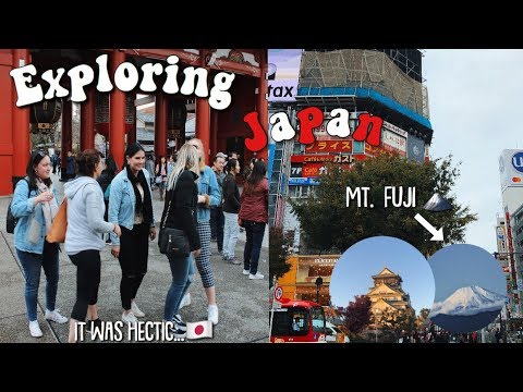 JAPAN TRAVEL VLOG 2018 | Tokyo, Osaka, Kyoto, Mt Fuji & more