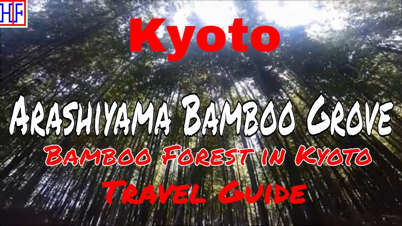 Kyoto | Arashiyama Bamboo Grove (TRAVEL GUIDE) | Episode# 11