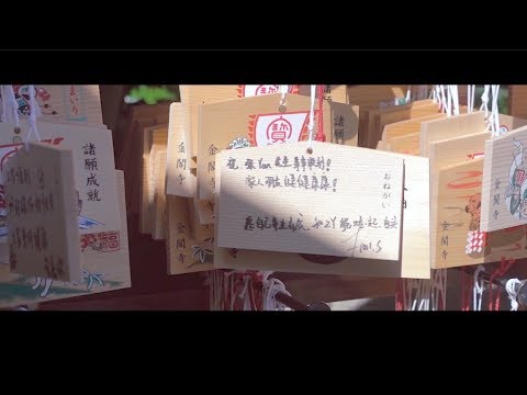 혼자 떠난 3박 4일 교토 여행 / Kyoto, Japan Travel Video