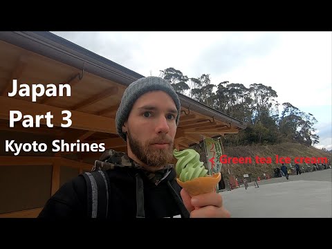 Japan Day 3 : Kyoto | Vlog #13