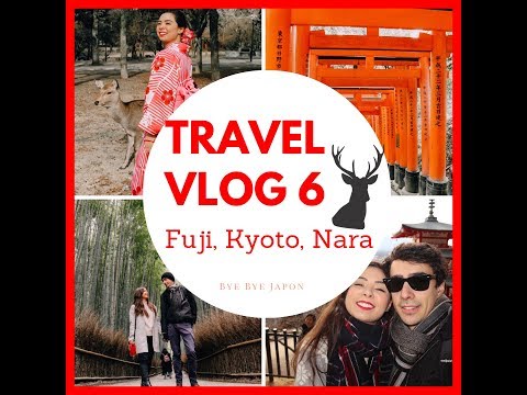 Travel vlog 6 – Fuji, Kyoto, Nara et au revoir !