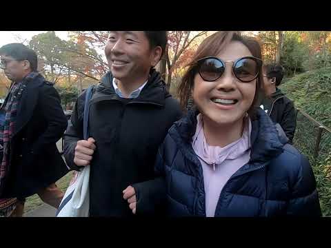 December in Kyoto with Mom