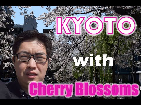 [日本語字幕] Kyoto Temple Tour with Cherry Blossoms