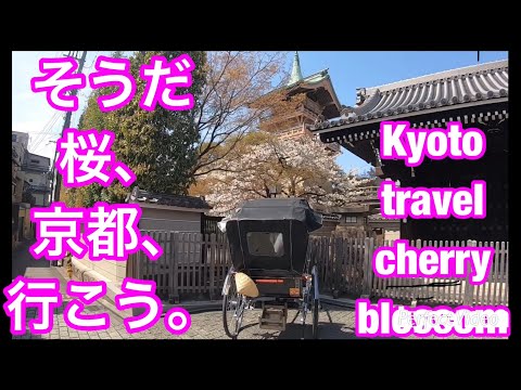 Kyoto TravelGuide MaruyamaPark③YasakaShrine KiyomizuTemple