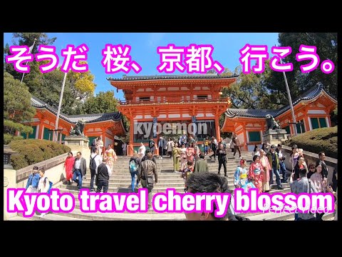 Kyoto TravelGuide MaruyamaPark①YasakaShrine KiyomizuTemple
