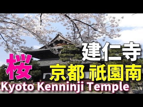 京都　建仁寺 2019・4・8　Kyoto Kenninji Temple 祇園、花見小路を歩いていくと辿り着くのが建仁寺です。 京都旅行　　kyoto tour