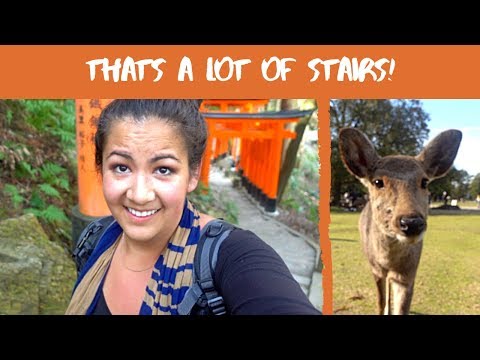 My Kyoto highlights + Day trip to Nara//Japan travel//solo female traveler