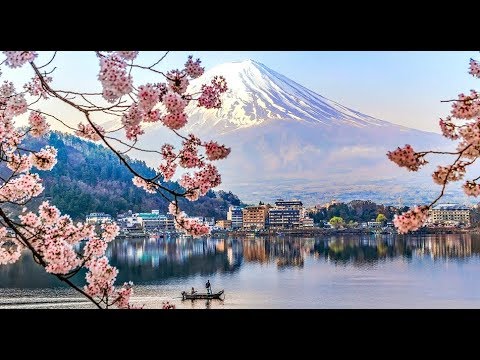 Japan Travel Adventure – Tokyo, Kyoto and more! (2019)