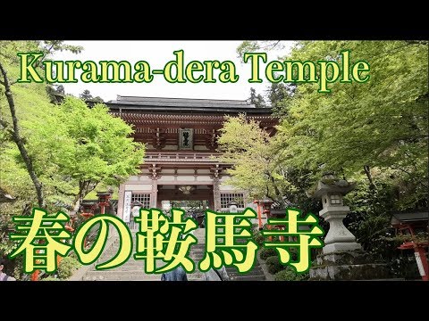 Kurama-dera Temple（Mount Kurama） in Kyoto Japan Travel Guide｜京都鞍馬寺ケーブルカーに乗って本殿へ