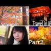 【Vlog】-Travel in kyoto-ジンバルが欲しくなる京都旅行【Part2】