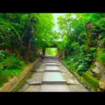 Kyoto Walk – Kodaiji Temple (高台寺) – 4K