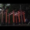 Fushimi Inari – Kyoto Japan – travel videos