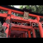 【伏見稲荷大社】1 minute tour ! Kyoto,Japan Hishiki Inari Taisha