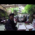 Japan 2016 Travel Video – Tokyo, Kyoto, Osaka, Nara, Hakone