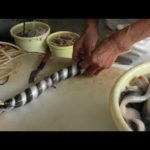 【4K】Burdock wrapped in eel : Kyoto local cuisine – 鰻の八幡巻き 京都の郷土料理 | Japan Food guide