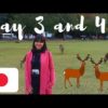 TRAVEL VLOG: Kyoto and Nara Tour! | Franchesca Jurado (Philippines)