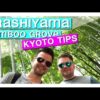 Arashiyama Bamboo Grove Kyoto Japan [ Kyoto in one day or Kyoto in 3 days ] ]