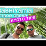 Arashiyama Bamboo Grove Kyoto Japan [ Kyoto in one day or Kyoto in 3 days ] ]
