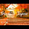 2019 Japan Travel KYOTO  BEST３ 〜京都 紅葉  毘沙門堂〜