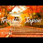 2019 Japan Travel KYOTO  BEST３ 〜京都 紅葉  毘沙門堂〜