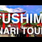 FUSHIMI INARI SHRINE TOUR by Kyoto citizen 伏見稲荷大社ツアー【京都民による案内】