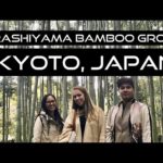 Bamboo Forest in Kyoto, Japan 🇯🇵 |TRAVEL VLOG