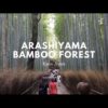Arashiyama Bamboo Forest | Walk with me tour | Kyoto Japan