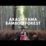 Arashiyama Bamboo Forest | Walk with me tour | Kyoto Japan